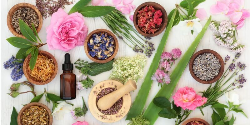 14 Flowers Plants With Fantastic Healing Properties Blossoming Gifts 14 Flowers Plants With Fantastic Healing Properties Blossoming Gifts