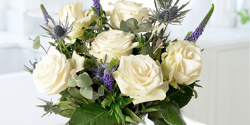 Dynamic What Type Of Flowers To Send For Sympathy Capture for Desktop Dynamic What Type Of Flowers To Send For Sympathy Capture for Desktop