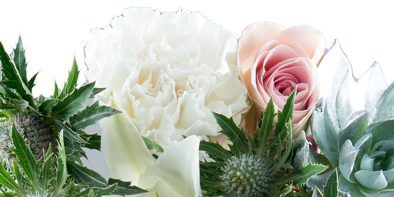 White carnations with pink roses and eryngium.