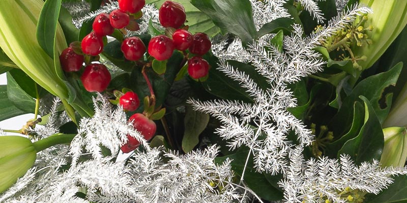 Red berries with silver fern leaves and greenery 