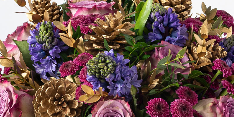 Christmas bouquet of blue hyacinths, lilac roses, purple chrysanthemums and gold pinecones. 