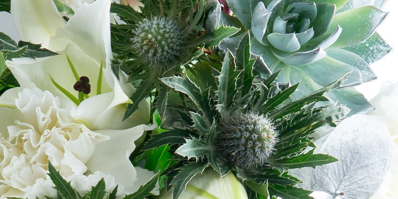 Eryngium with carnations and greenery 