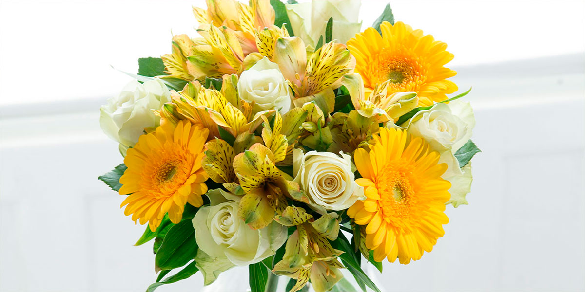 Top 10 Flowers to Send to Friends Blossoming Gifts