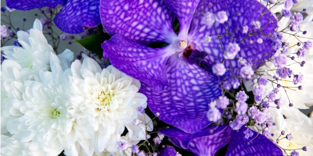 Flowers for good luck deals