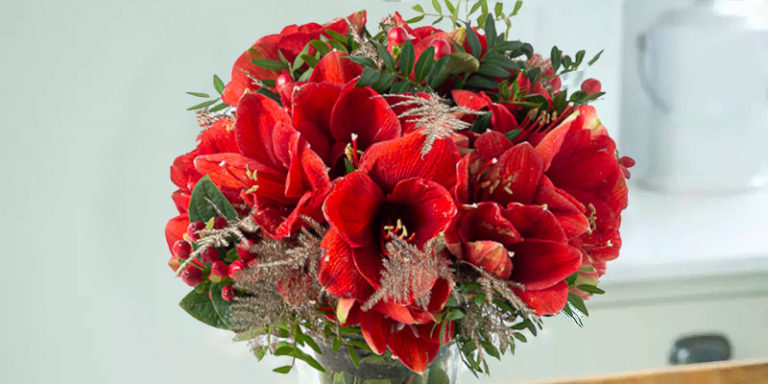 8 Best Flowers for New Year Bouquets | Blossoming Gifts