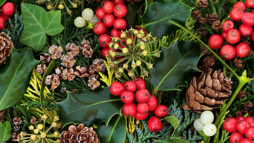 Christmas Greenery Foliage Leaves Holly Mistletoe Berries Winter