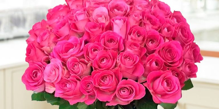 Pink Roses Femininity The Best Flowers To Symbolise Femininity - Blossoming Gifts