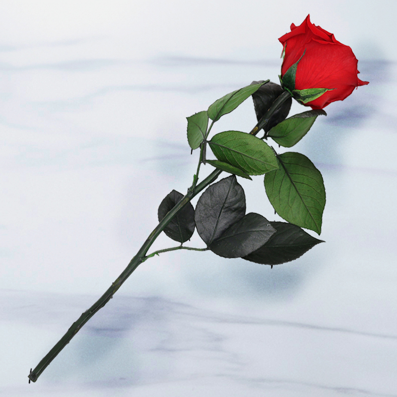 Preserved Rose - Red Preserved Flower Bouquet - Roses - Next Day Flower Delivery UK - Blossoming Gifts