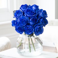 Blue Roses Blue Roses