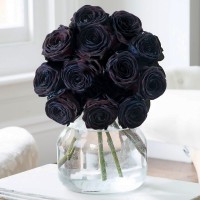 Black Roses Black Roses