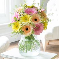 Daisy Daisy Daisy Daisy