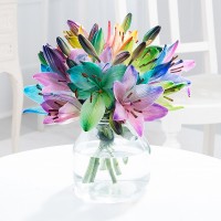 Rainbow Lilies Rainbow Lilies