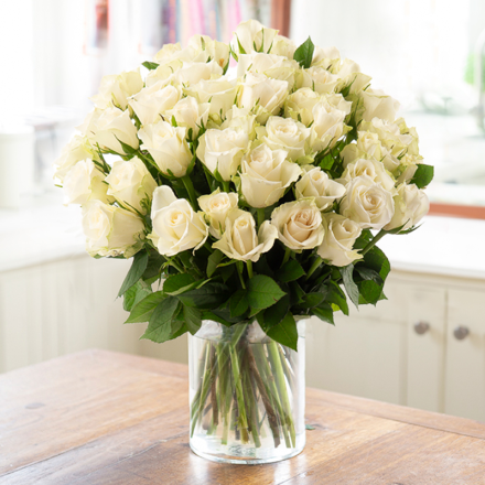 50 White Roses
