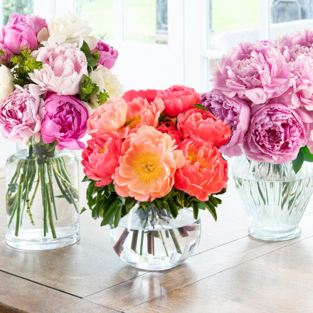 Weekly Peonies Weekly Peonies
