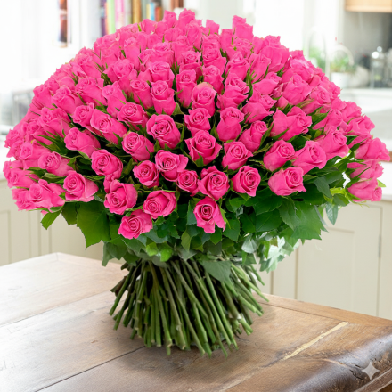 200 Pink Roses 200 Pink Roses