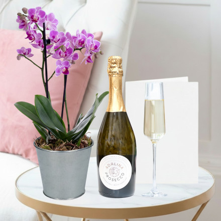 Mini Pink Orchid, (20-25cm), Zinc Pot, Prosecco Adalina (75cl) & Card Mini Pink Orchid, (20-25cm), Zinc Pot, Prosecco Adalina (75cl) & Card