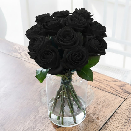 Black Roses Black Roses