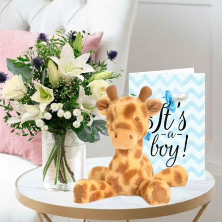 Blue Serenity, Keels Huggy Giraffe & Baby Boy Card