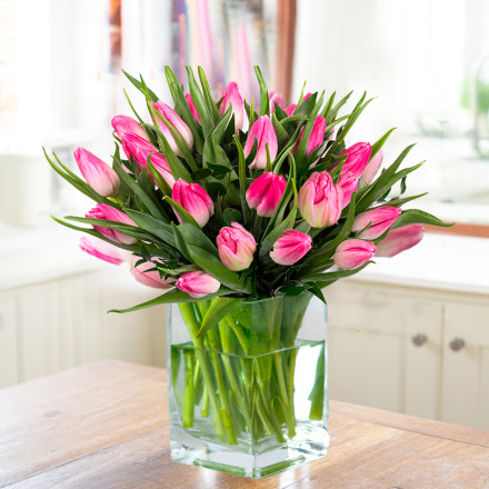 50-100 Pink Tulips 50-100 Pink Tulips