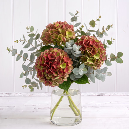 Simply Hydrangeas Simply Hydrangeas