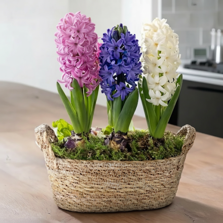 Mother's Day Spring Bulb Basket