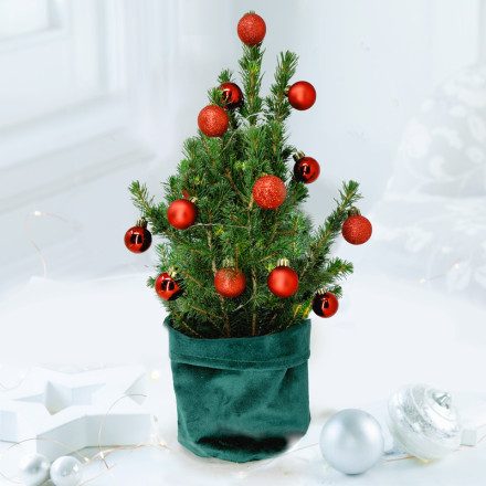 Medium Christmas Tree (50-55cm) with 14 Christmas Red Baubles & Lights Medium Christmas Tree (50-55cm) with 14 Christmas Red Baubles & Lights