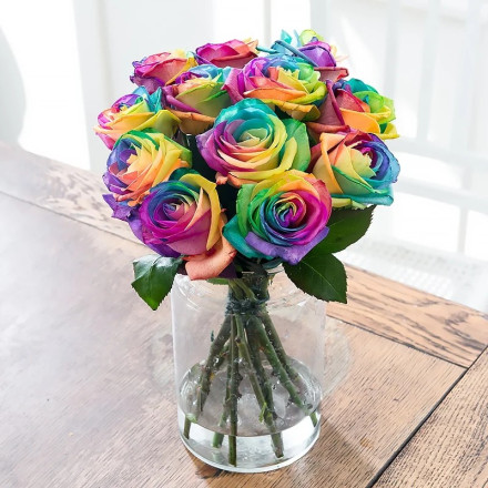 Rainbow Roses Rainbow Roses