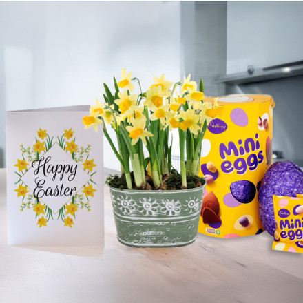 Spring Bulb Planter, Cadbury Mini Eggs Chocolate Easter Egg (232g) & Happy Easter Card