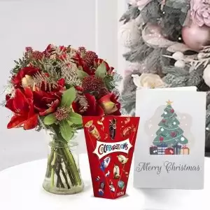 Amaryllis Bouquet, Celebrations Mini Chocolate & Biscuit Bars (163g) & Christmas Card