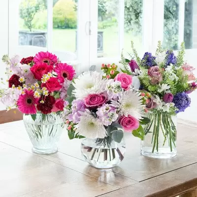 Seasonal Gift Subscription