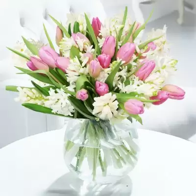 Tulips & Hyacinths