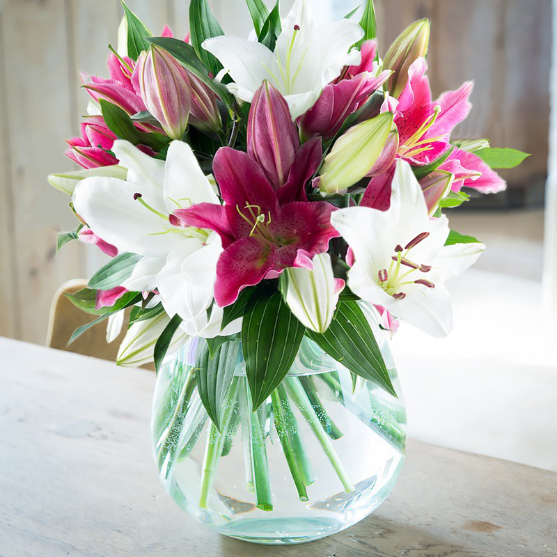 Lily Bouquet - Flower Bouquet - Mixed Lilies - Next Day Flower Delivery UK - Blossoming Gifts