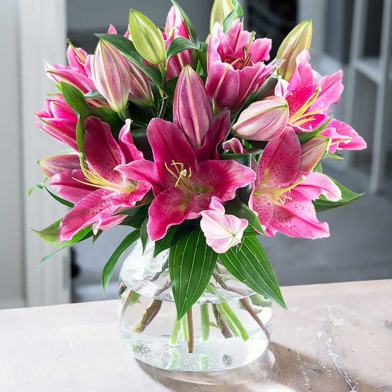 Lily Bouquet - Pink Flower Bouquet - Stargazer Lillies - Next Day Flower Delivery UK - Blossoming Gifts